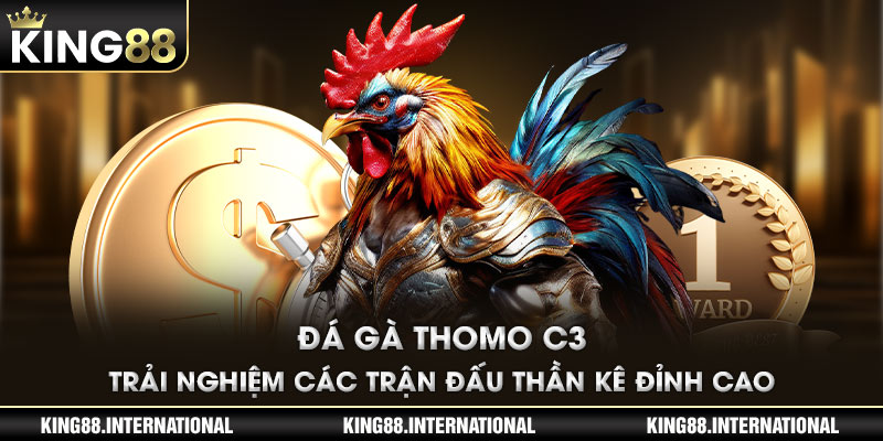 Đá Gà Thomo C3 - Trải Nghiệm Các Trận Đấu Thần Kê Đỉnh Cao